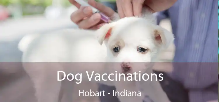 Dog Vaccinations Hobart - Indiana