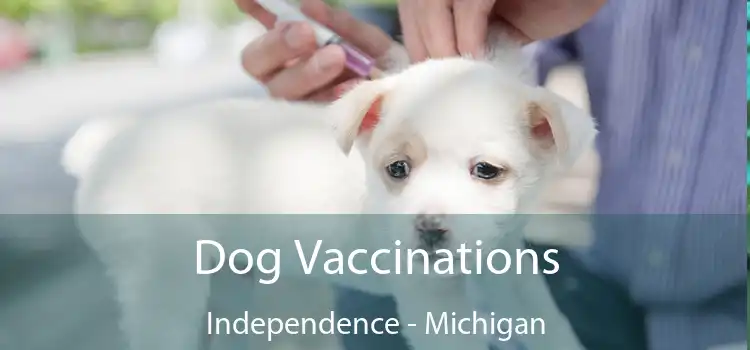 Dog Vaccinations Independence - Michigan