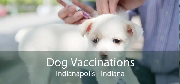 Dog Vaccinations Indianapolis - Indiana