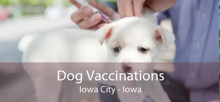 Dog Vaccinations Iowa City - Iowa