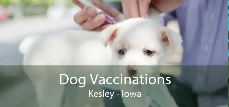 Dog Vaccinations Kesley - Iowa