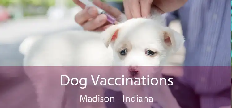 Dog Vaccinations Madison - Indiana