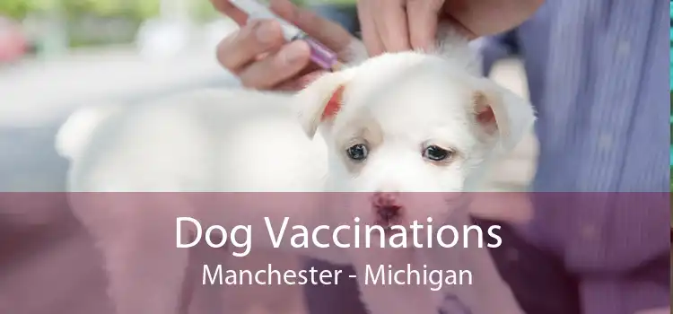 Dog Vaccinations Manchester - Michigan
