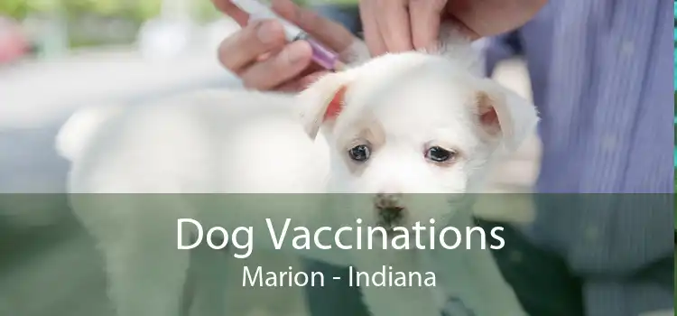 Dog Vaccinations Marion - Indiana