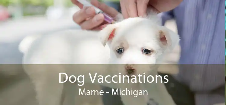Dog Vaccinations Marne - Michigan