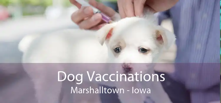 Dog Vaccinations Marshalltown - Iowa