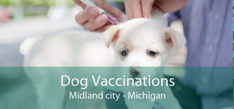 Dog Vaccinations Midland city - Michigan