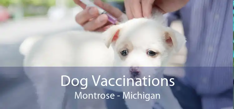Dog Vaccinations Montrose - Michigan