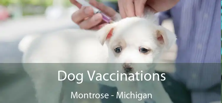 Dog Vaccinations Montrose - Michigan