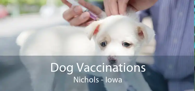 Dog Vaccinations Nichols - Iowa