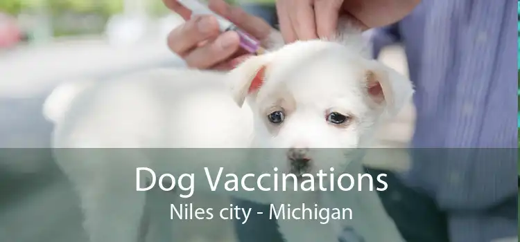 Dog Vaccinations Niles city - Michigan