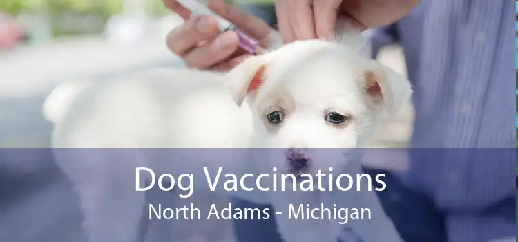 Dog Vaccinations North Adams - Michigan