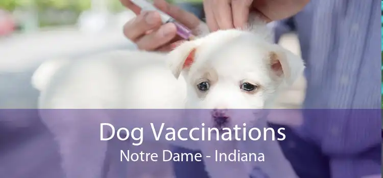 Dog Vaccinations Notre Dame - Indiana
