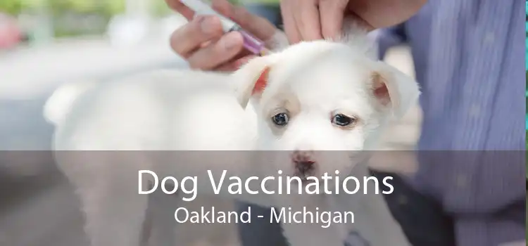 Dog Vaccinations Oakland - Michigan