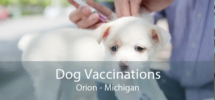 Dog Vaccinations Orion - Michigan