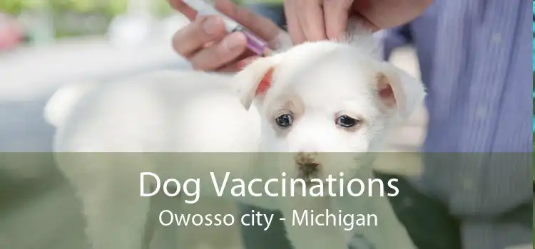 Dog Vaccinations Owosso city - Michigan
