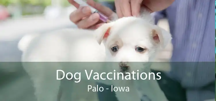 Dog Vaccinations Palo - Iowa