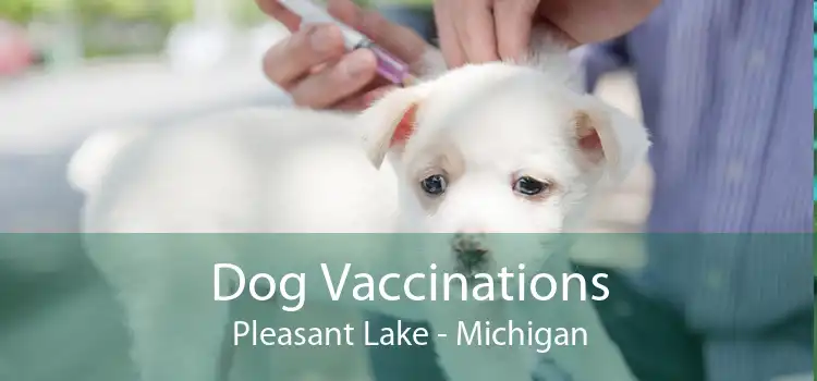 Dog Vaccinations Pleasant Lake - Michigan