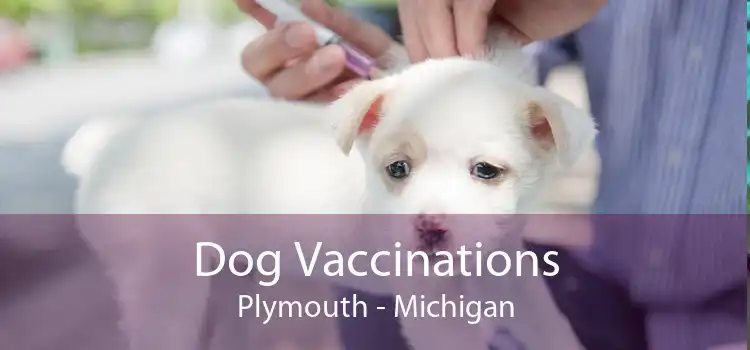 Dog Vaccinations Plymouth - Michigan