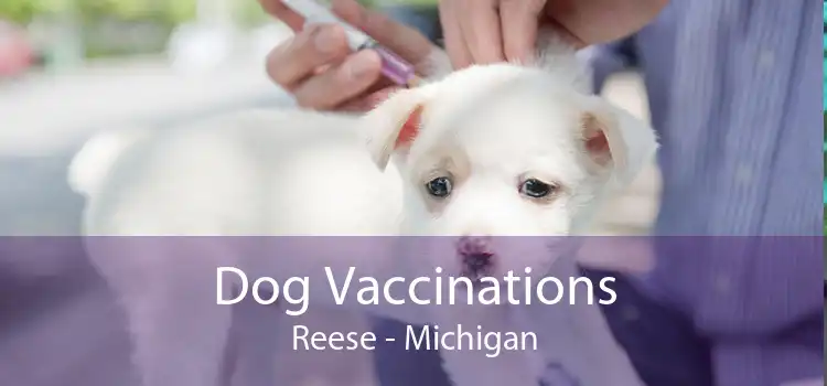 Dog Vaccinations Reese - Michigan
