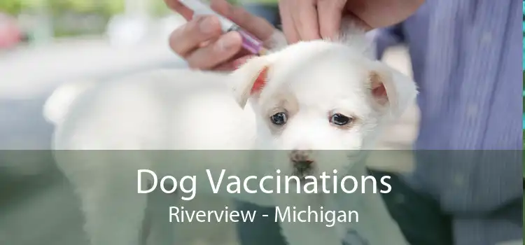Dog Vaccinations Riverview - Michigan
