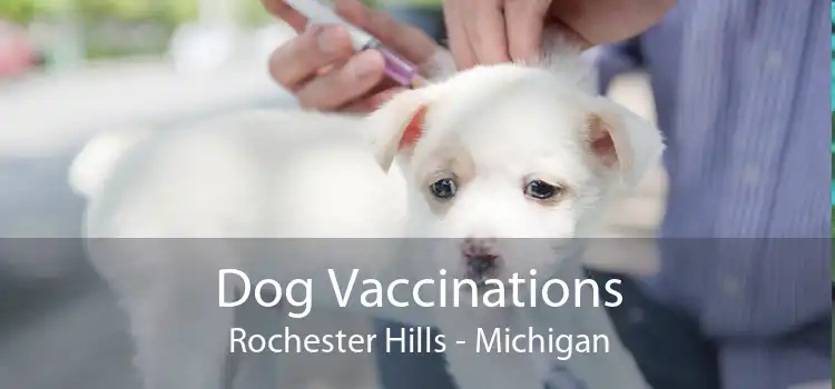 Dog Vaccinations Rochester Hills - Michigan