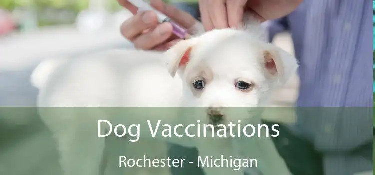 Dog Vaccinations Rochester - Michigan