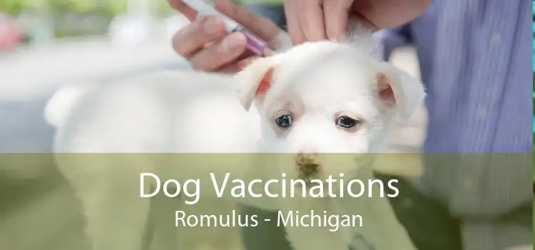 Dog Vaccinations Romulus - Michigan