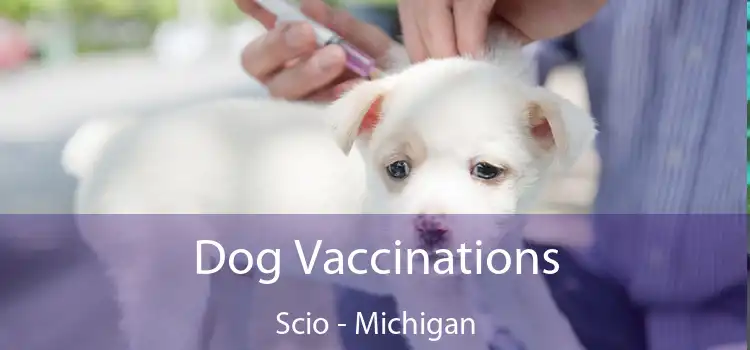 Dog Vaccinations Scio - Michigan