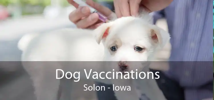 Dog Vaccinations Solon - Iowa