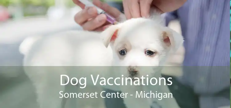 Dog Vaccinations Somerset Center - Michigan