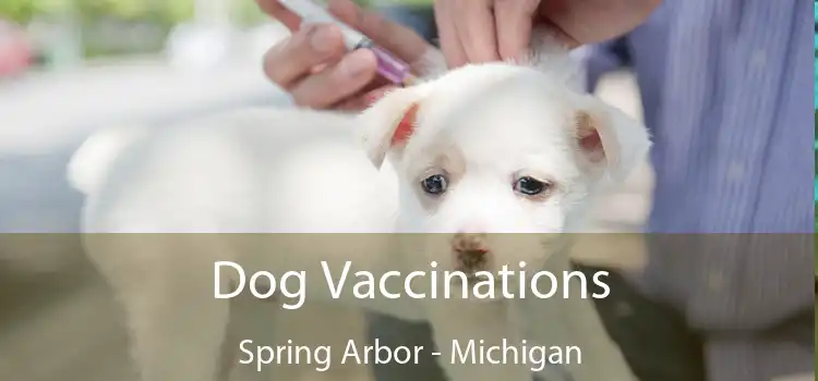 Dog Vaccinations Spring Arbor - Michigan