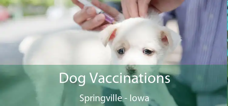 Dog Vaccinations Springville - Iowa