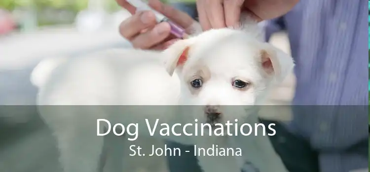 Dog Vaccinations St. John - Indiana