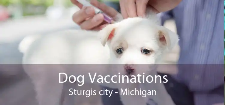 Dog Vaccinations Sturgis city - Michigan