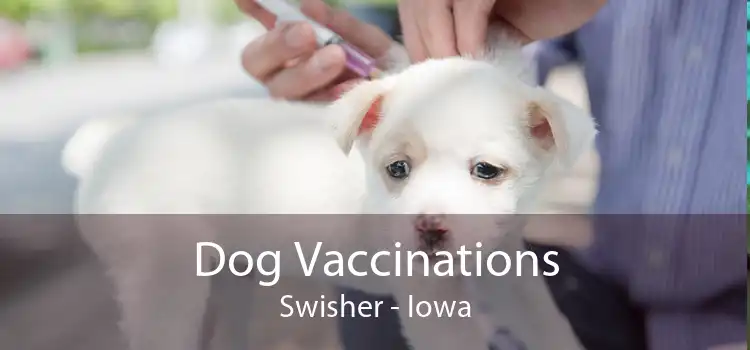Dog Vaccinations Swisher - Iowa
