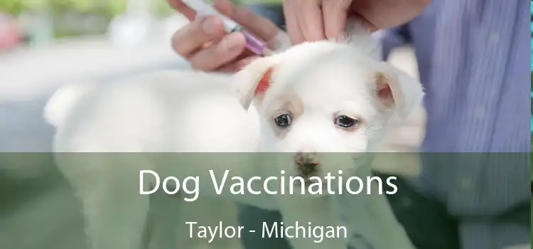 Dog Vaccinations Taylor - Michigan