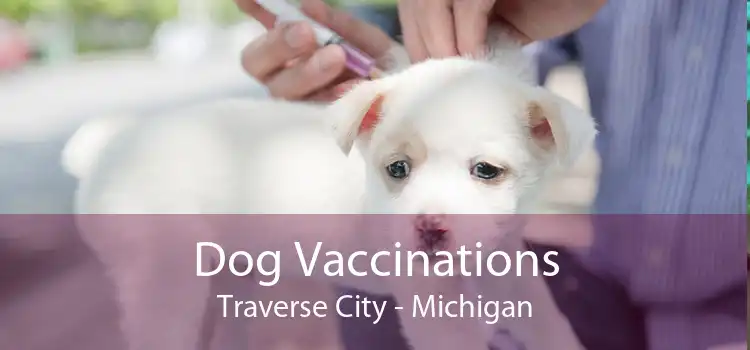 Dog Vaccinations Traverse City - Michigan