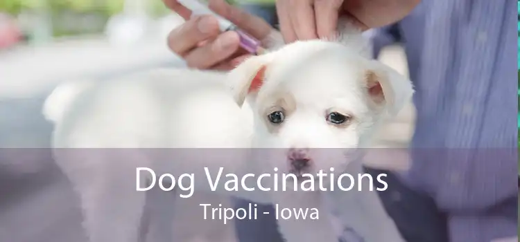 Dog Vaccinations Tripoli - Iowa