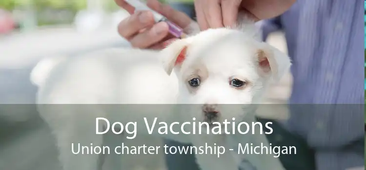 Dog Vaccinations Union charter township - Michigan