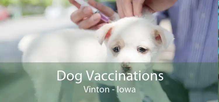 Dog Vaccinations Vinton - Iowa