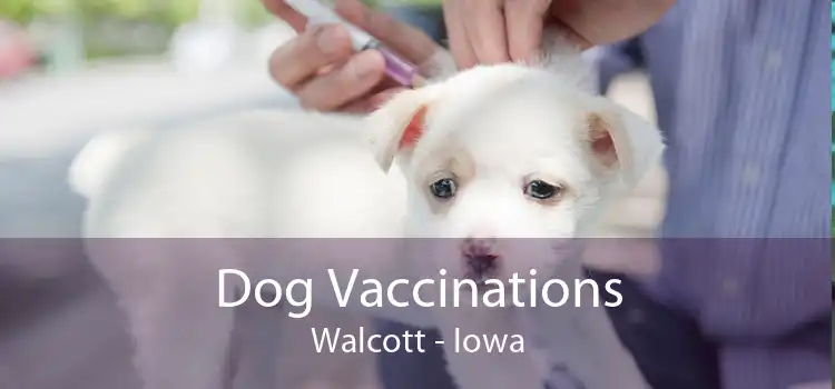 Dog Vaccinations Walcott - Iowa