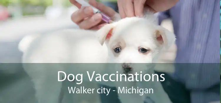 Dog Vaccinations Walker city - Michigan