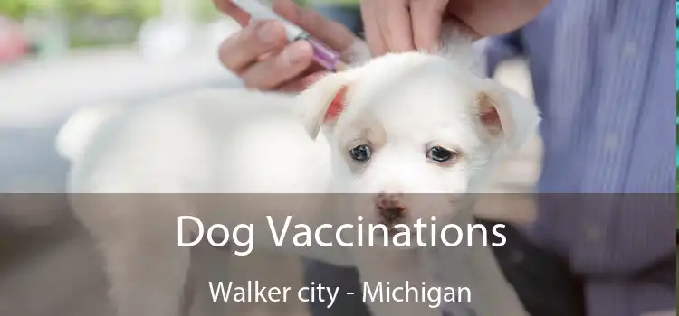 Dog Vaccinations Walker city - Michigan