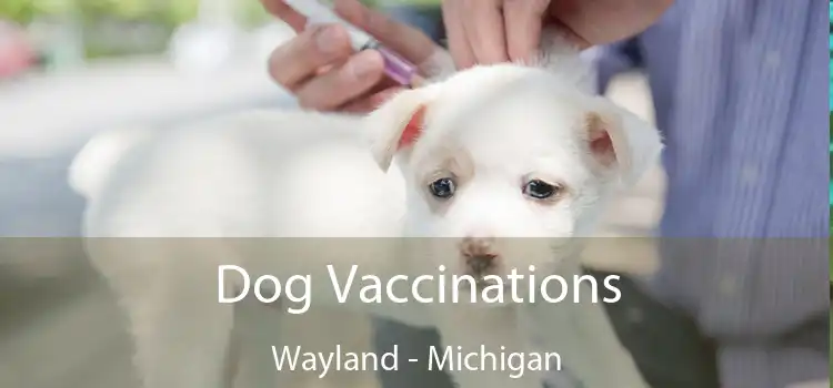 Dog Vaccinations Wayland - Michigan