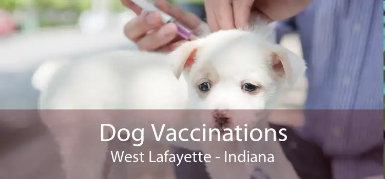 Dog Vaccinations West Lafayette - Indiana
