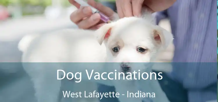 Dog Vaccinations West Lafayette - Indiana