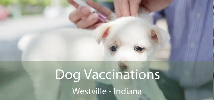 Dog Vaccinations Westville - Indiana