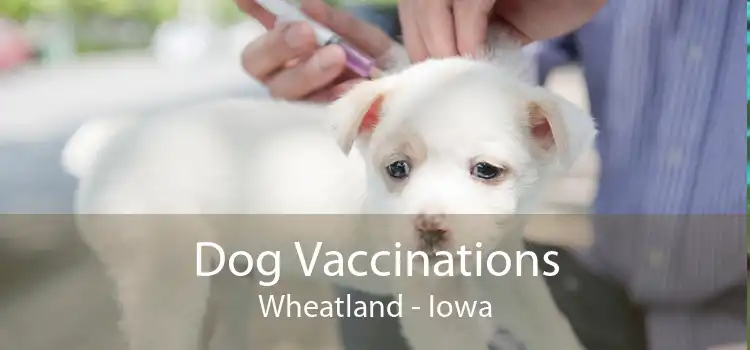 Dog Vaccinations Wheatland - Iowa