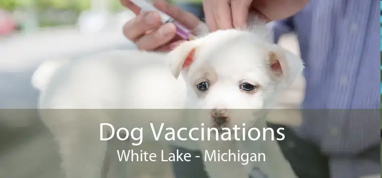 Dog Vaccinations White Lake - Michigan